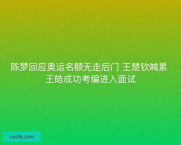 陈梦回应奥运名额无走后门 王楚钦喊累 王皓成功考编进入面试