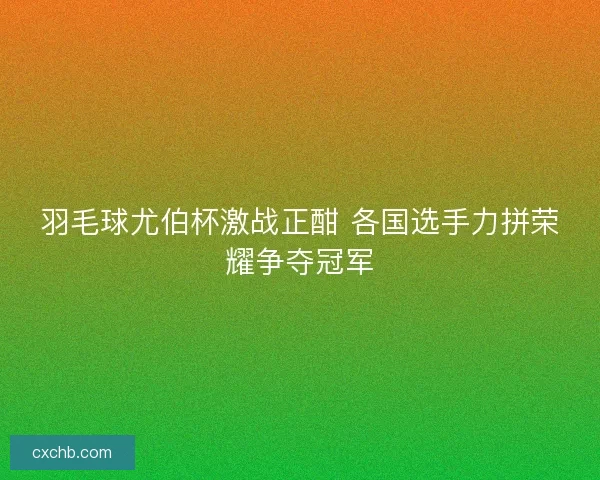羽毛球尤伯杯激战正酣 各国选手力拼荣耀争夺冠军